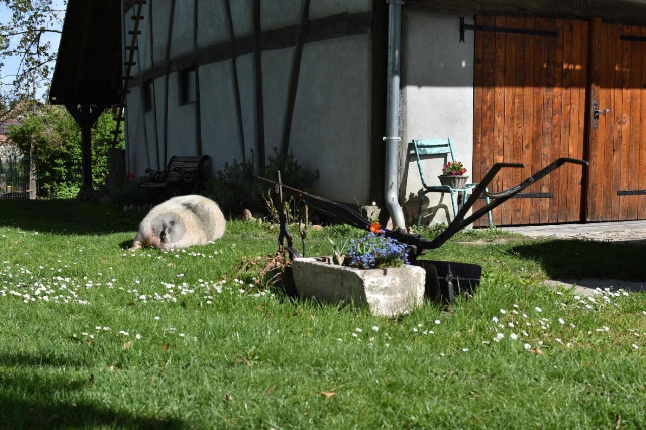 Gite De Peupliers Valdieu Exterior photo